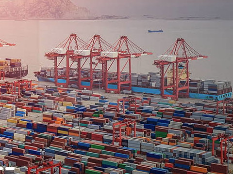 上海國際海運有哪些進口業務？