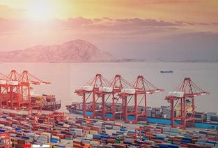 選擇進(jìn)口報(bào)關(guān)代理的理由是什么