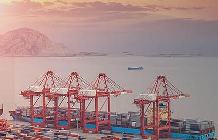 海運公司有幾種類型？